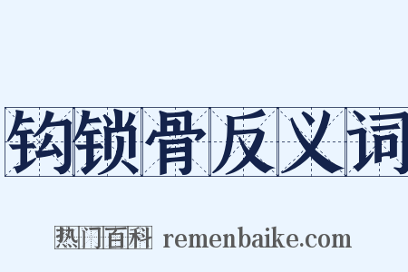 钩锁骨反义词是什么意思的图片